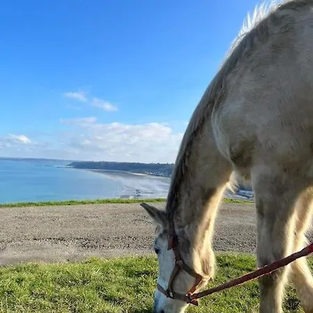 3,5 Kms Des Plages De Binic 3 Jardin Linge Wifi Casa vacanze *